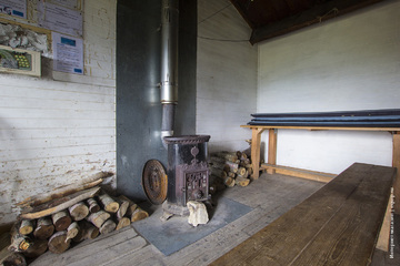 36
