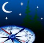 Ночное ориентирование «Лемболовский мемориал» 